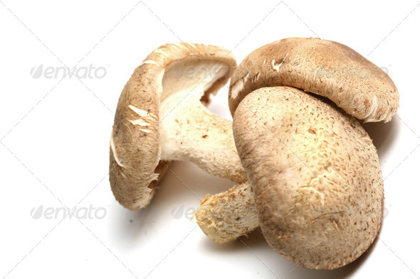 Shiitake