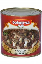 Tricholoma-Carbonera (Conserva)_