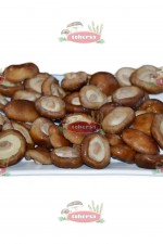 SHIITAKE (1)__